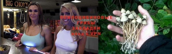 МДПВ Бронницы