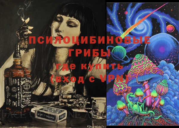 МДПВ Бронницы
