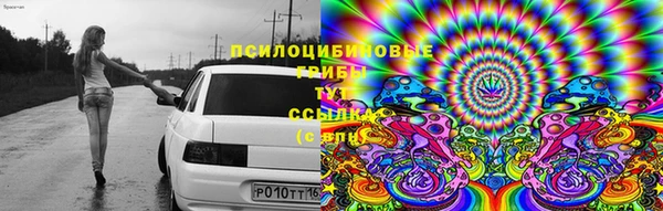 гашиш Бородино