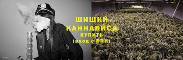 МДПВ Бронницы
